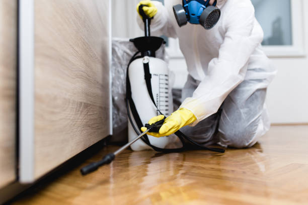 Best Pest Removal Services  in Union, MO
