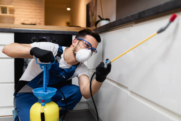 Best Best Pest Control Companies  in Union, MO
