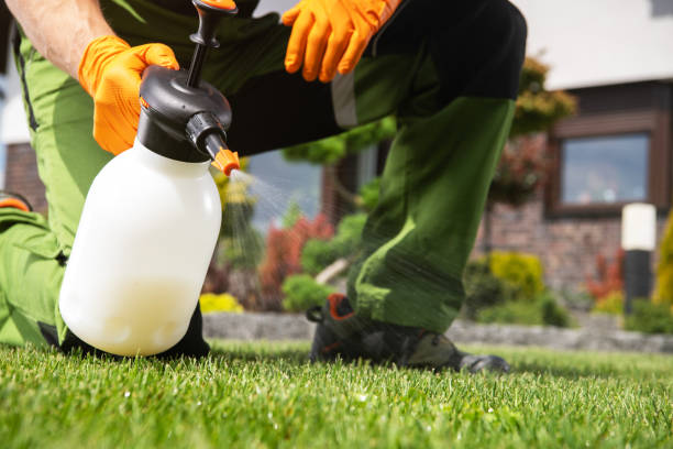 Best Cockroach Control Services  in Union, MO