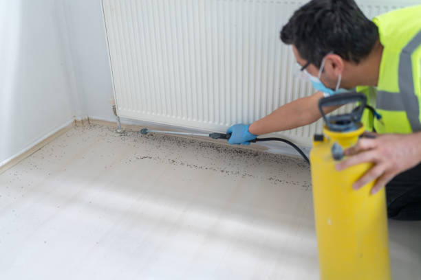Best Termite Control Services  in Union, MO